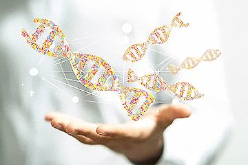 焦作验DNA亲子关系要多少钱?