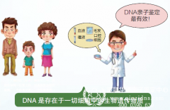 DNA亲子鉴定基础及技术的优越性有哪些