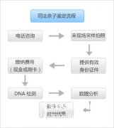 司法亲子鉴定怎么做，它是怎样一个流程