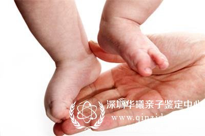 母子可以做亲子鉴定吗