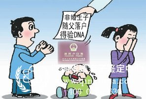 非婚生子亲子鉴定