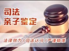 益阳亲子鉴定需要多少钱