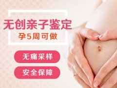 8个月做亲子鉴定多少钱？什么是无创胎儿亲子鉴定？