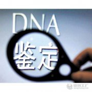 滨州市dna亲子鉴定怎么做？