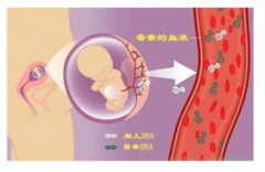 深圳可以做亲子鉴定吗