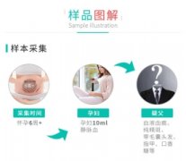 哈密怀孕多久可以检查dna