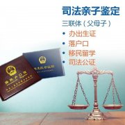 落户亲子鉴定具体流程