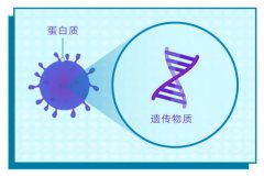 DNA亲子鉴定多用哪几种判断方式